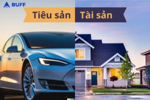 phân biệt tiêu sản và tài sản